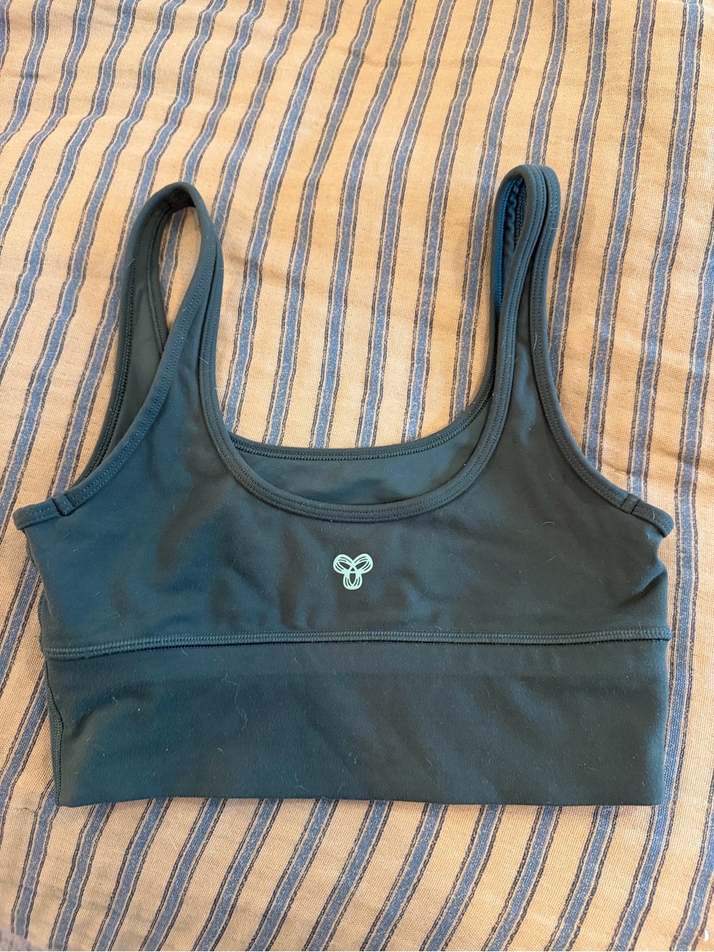 Aritzia TNA Action sports bra